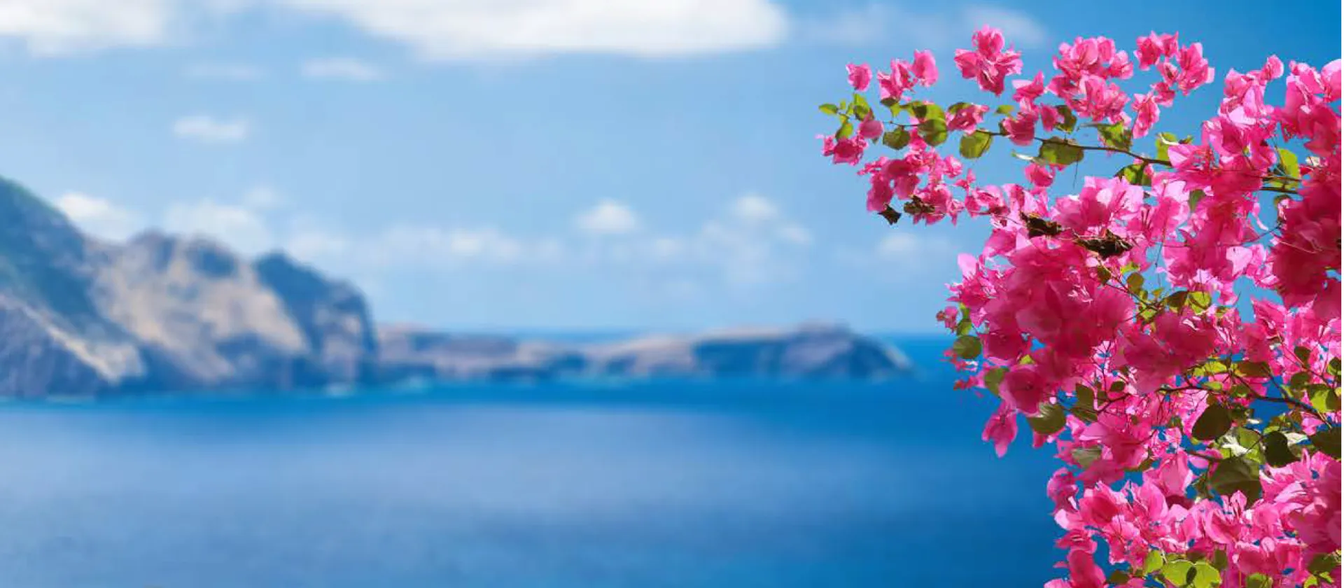 20260408_Header Magnolia_News_01_INT_1.1