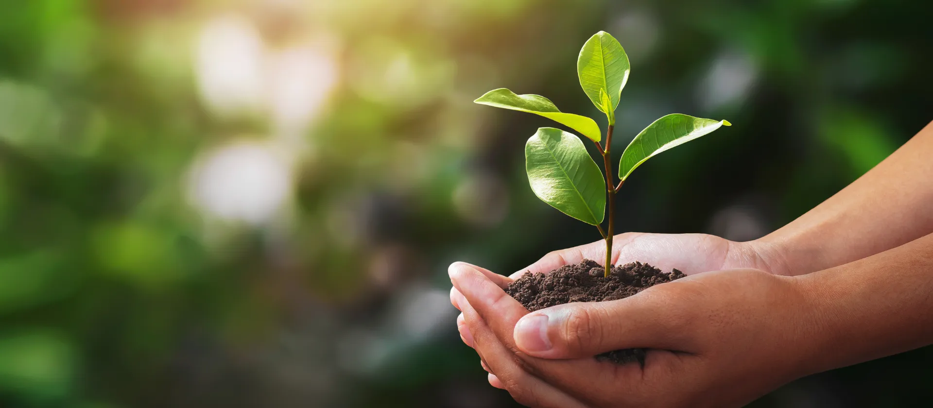 header_nachhaltigkeit