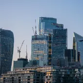 management consulting