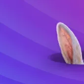 20260331_Ostern 26_Magnolia Header_INT_1.1