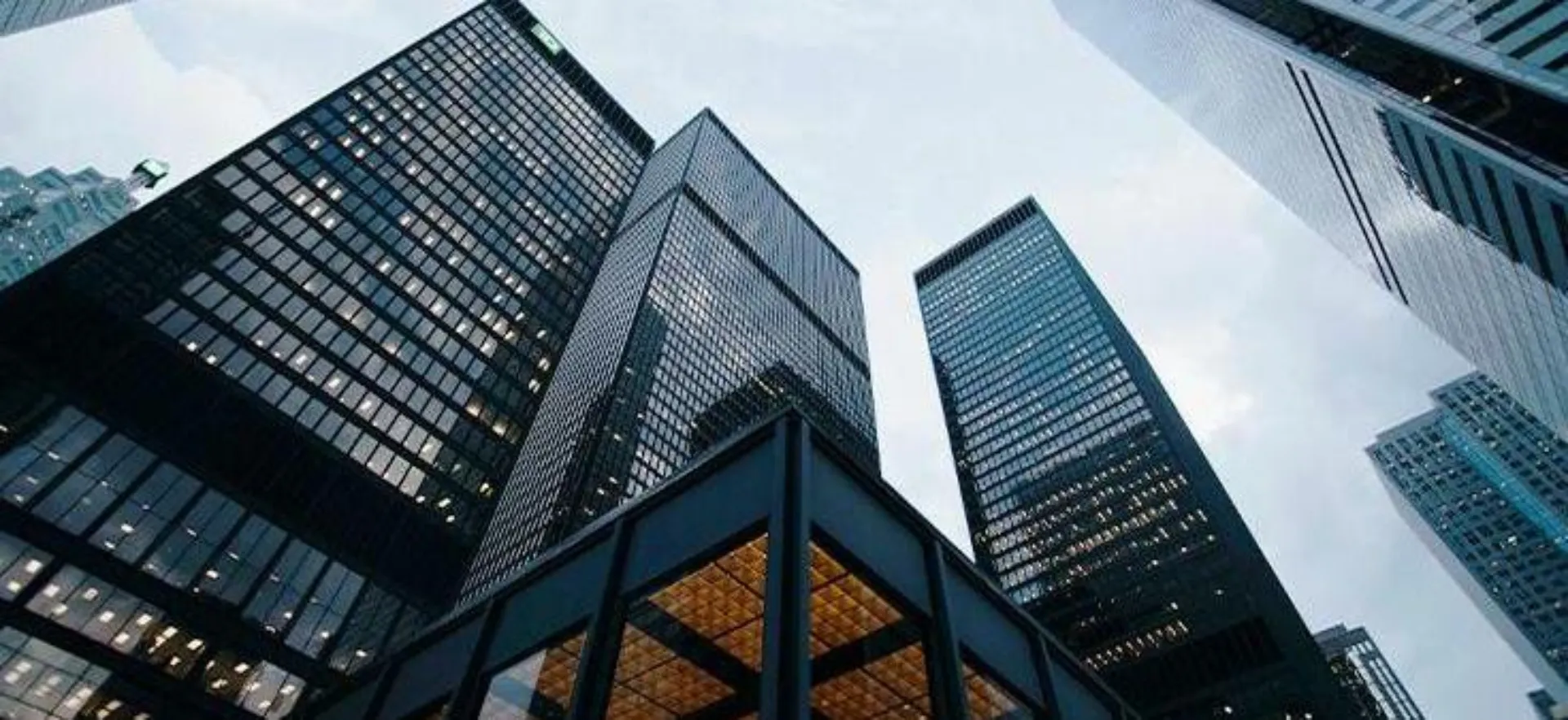 treasury-asset-management