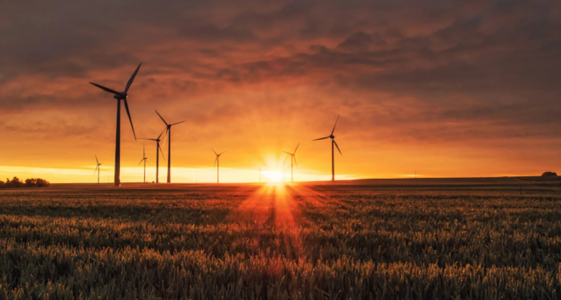 Wind turbines in the sun