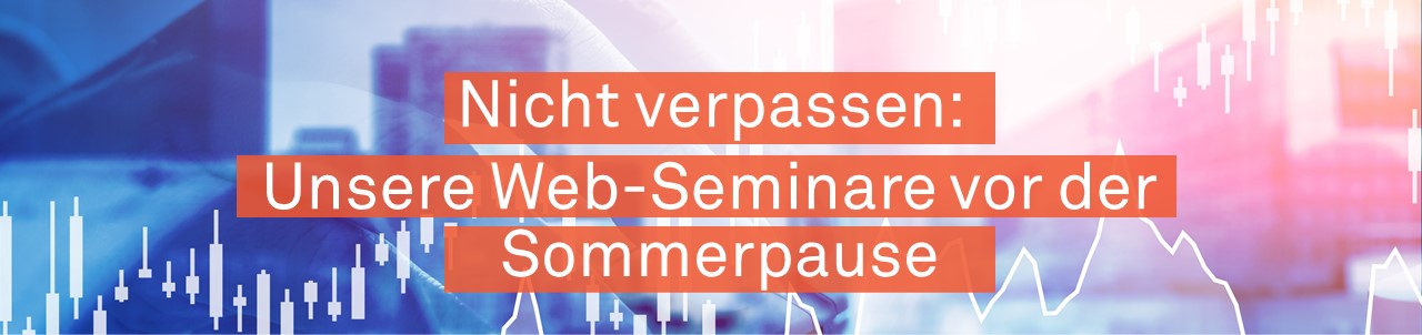 Web Seminar allg. länglich