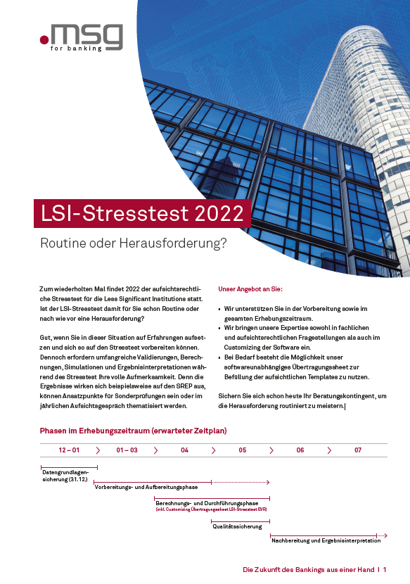 Cover des Flyers LSI-Stresstest 2022
